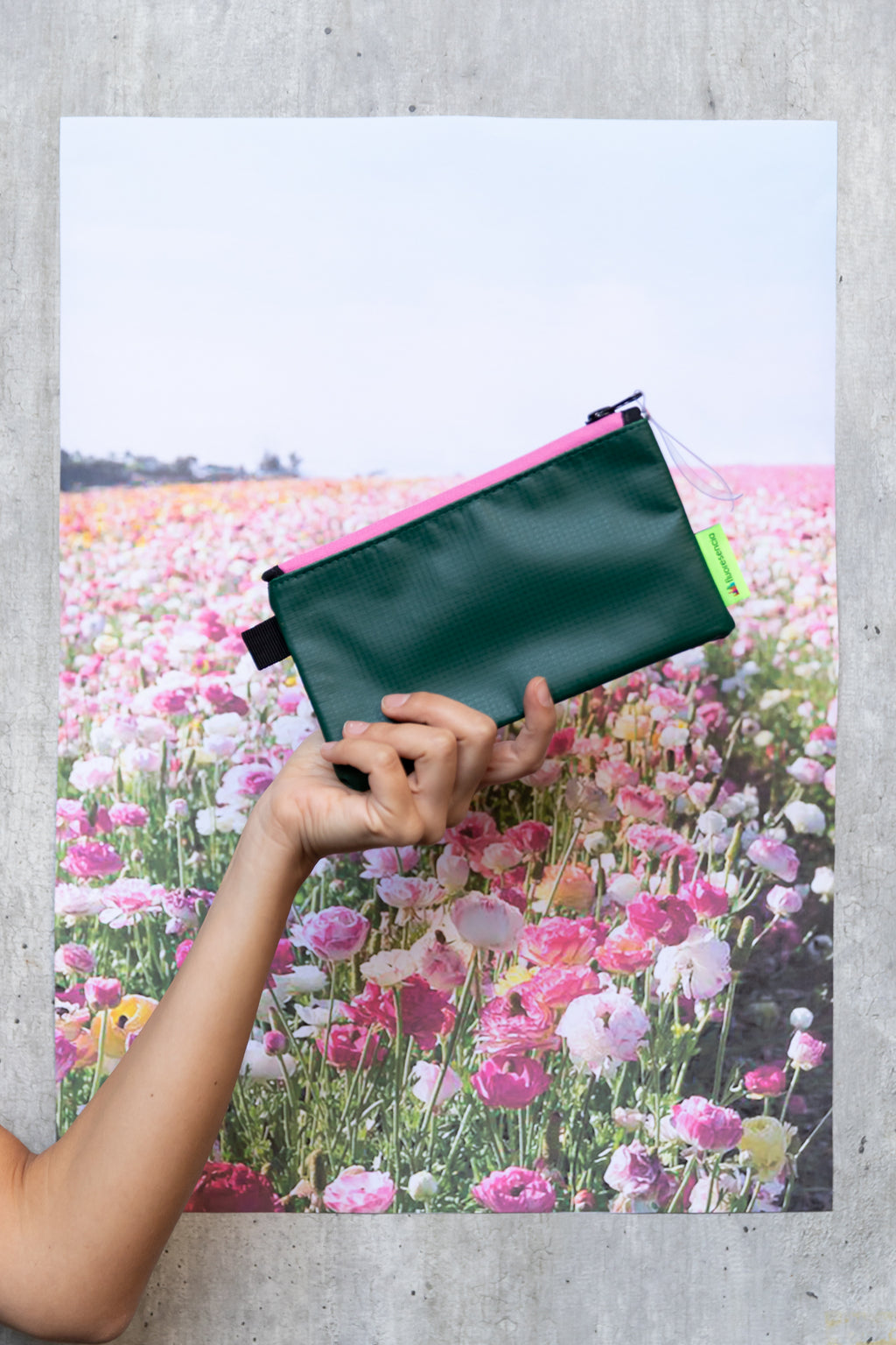 Case Plano Verde